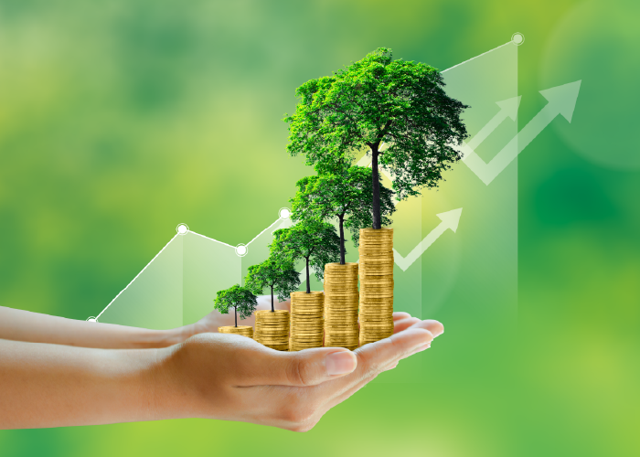 danh_gia_tuan_thu_quy_dinh_moi_truong_10